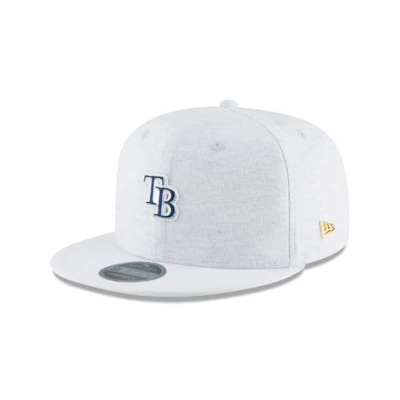 Grey Tampa Bay Rays Hat - New Era MLB Micro Stitch 9FIFTY Snapback Caps USA1874560